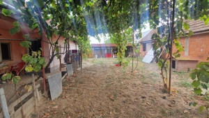 Vând casă și teren intravilan, 2158 mp  în Moșnița Veche  - imagine 6
