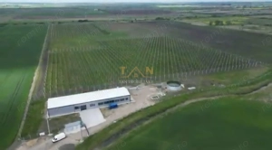 De Vânzare Afacere La Cheie ( ARAD)