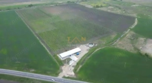 De Vânzare Afacere La Cheie ( ARAD) - imagine 2