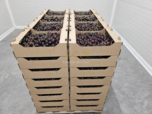 De Vânzare Afacere La Cheie ( ARAD) - imagine 15