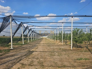 De Vânzare Afacere La Cheie ( ARAD) - imagine 3