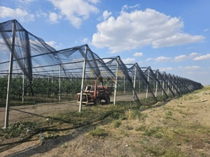 De Vânzare Afacere La Cheie ( ARAD) - imagine 4