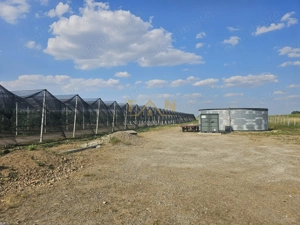 De Vânzare Afacere La Cheie ( ARAD) - imagine 7