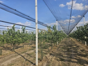 De Vânzare Afacere La Cheie ( ARAD) - imagine 5