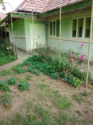 Casă cu 3 camere și grădină - imagine 2