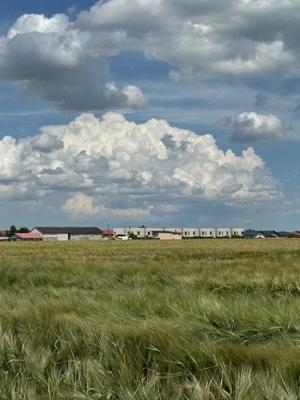 Vanzare Teren Rezidential Cernica Balaceanca 4000mp  - imagine 4