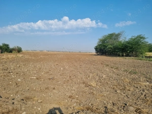 Vanzare Teren Rezidential Cernica Balaceanca 4000mp  - imagine 2