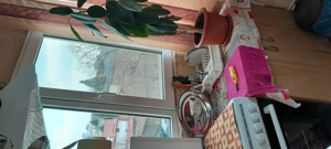 Apartament de vânzare. - imagine 3