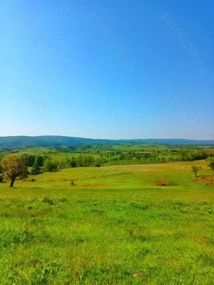 Vând Teren cu Conac  - imagine 10