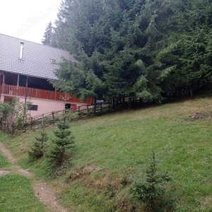 Teren Stațiunea Muntele Băișorii Cluj - imagine 4