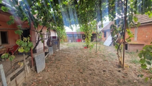 Vând casă și teren (2158 mp)Moșnița Veche - imagine 7