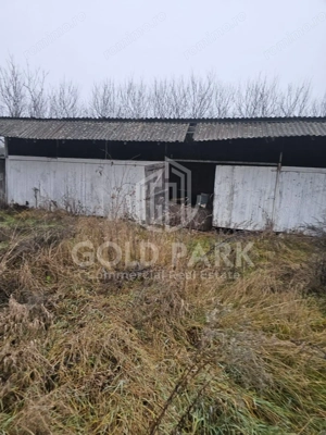 Spatiu Industrial/Depozit - Zona Borsa- Cluj - 330 mp Open Space - imagine 8 Spatiu Industrial/Depozit - Zona Borsa- Cluj - 330 mp Open Space - imagine 8