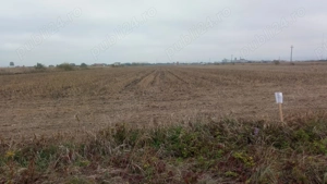 Teren intravilan 500mp in Brasov - imagine 4 Teren intravilan 500mp in Brasov - imagine 4