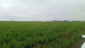 Teren intravilan 500mp in Brasov - imagine 2 Teren intravilan 500mp in Brasov - imagine 2