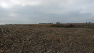 Teren intravilan 500mp in Brasov - imagine 3 Teren intravilan 500mp in Brasov - imagine 3