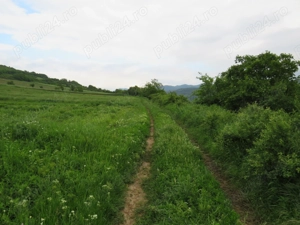 Teren de vanzare - imagine 10