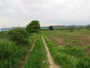 Teren de vanzare - imagine 9