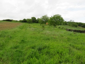 Teren de vanzare - imagine 14