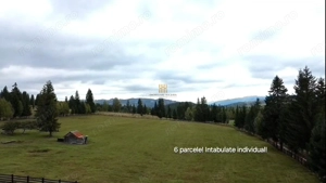 Teren 2804 mp, la munte! In Bucovina – Fundu Moldovei! - imagine 4