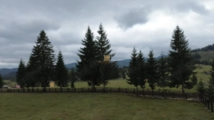 Teren 2804 mp, la munte! In Bucovina – Fundu Moldovei! - imagine 14