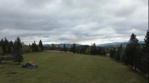 Teren 2804 mp, la munte! In Bucovina – Fundu Moldovei! - imagine 11
