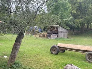 Casă tradițională din lemn - imagine 3