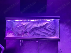 Acavriu 450 litri (150 50 60 ) - imagine 2