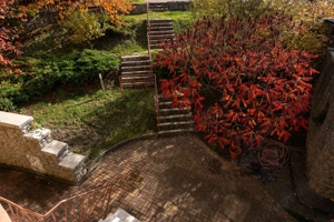 VILĂ 550 mp, LOT 1.006 mp Cartier Europa - imagine 4