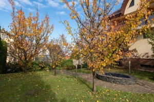 VILĂ 550 mp, LOT 1.006 mp Cartier Europa - imagine 3