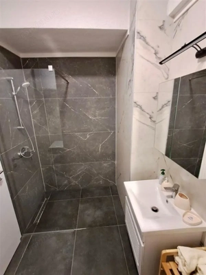 Apartament cu 2 camere de inchiriat in zona Calea Mosilor - imagine 3