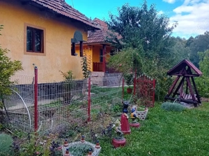 Case si teren 5600 mp in Cepari Arges