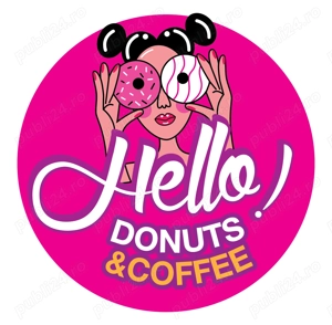 Sofer permis categoria B