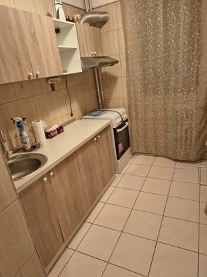 Inchiriere apartament-zona Vest-Benefic Imobiliare - imagine 6