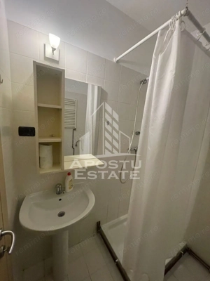 Apartament 1 camera, centrala proprie, parter, Complexul studentesc - imagine 9