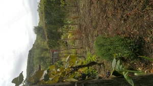 Casă+Teren  - imagine 7