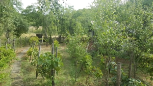 Casă+Teren  - imagine 9