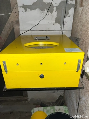 vind incubator ! - imagine 3 vind incubator ! - imagine 3