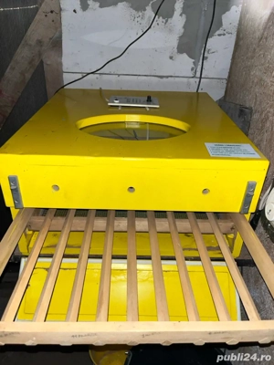 vind incubator ! - imagine 5 vind incubator ! - imagine 5