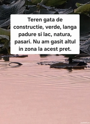 Snagov, ilfov, aproape Bucuresti, intravilan, intre case, ocazie unica - imagine 2