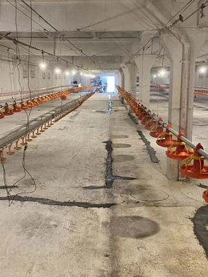 Hale de vanzare + balta de pescuit in Bihor-Nojorid-Les - imagine 7