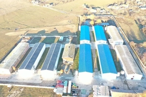 Hale de vanzare + balta de pescuit in Bihor-Nojorid-Les - imagine 4