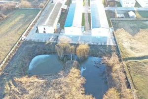 Hale de vanzare + balta de pescuit in Bihor-Nojorid-Les - imagine 6