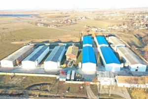 Hale de vanzare + balta de pescuit in Bihor-Nojorid-Les - imagine 9