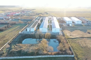 Hale de vanzare + balta de pescuit in Bihor-Nojorid-Les