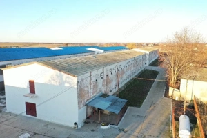 Hale de vanzare + balta de pescuit in Bihor-Nojorid-Les - imagine 2