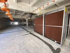 Hale de vanzare + balta de pescuit in Bihor-Nojorid-Les - imagine 8