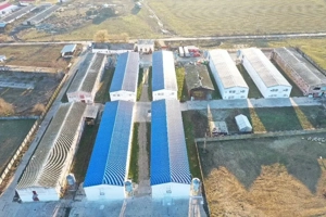 Hale de vanzare + balta de pescuit in Bihor-Nojorid-Les - imagine 5