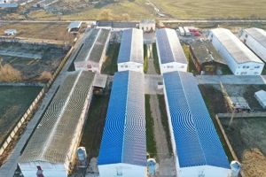 Hale de vanzare + balta de pescuit in Bihor-Nojorid-Les - imagine 3