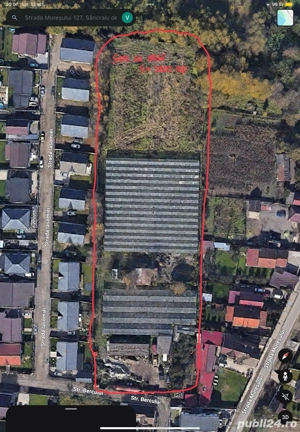 Vând sere de sticla 3800 mp - imagine 5