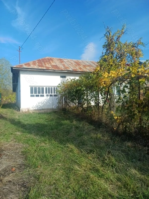 Vand casa comuna Cocu,sat Crucisoara